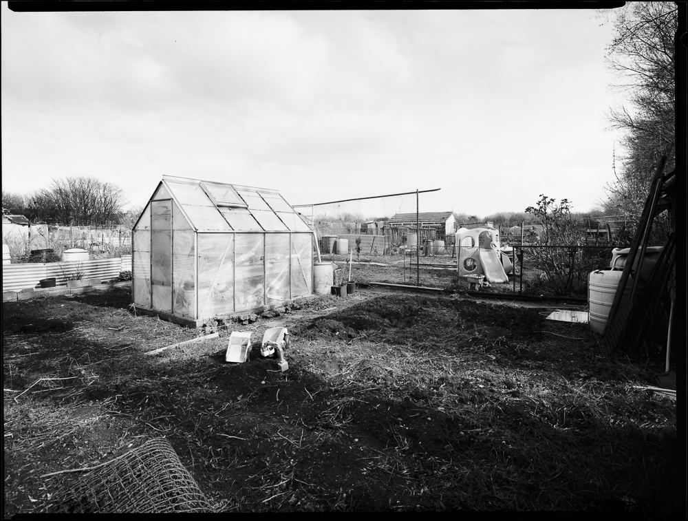 Untitled - The Allotments